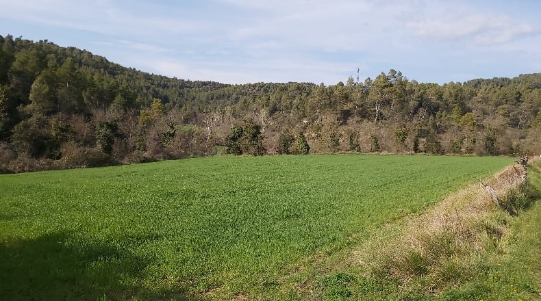 Barcelona - Gaià - 1170000m2