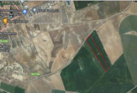 Alcolea de Tajo 37500&nbsp;m² 