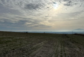 Alcolea de Tajo 37500&nbsp;m² 