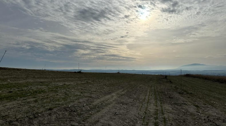 Toledo - Alcolea de Tajo - 37500m2