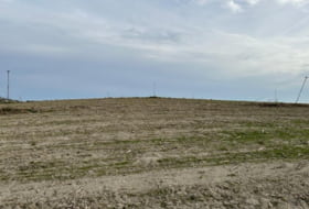 Alcolea de Tajo 37500&nbsp;m² 