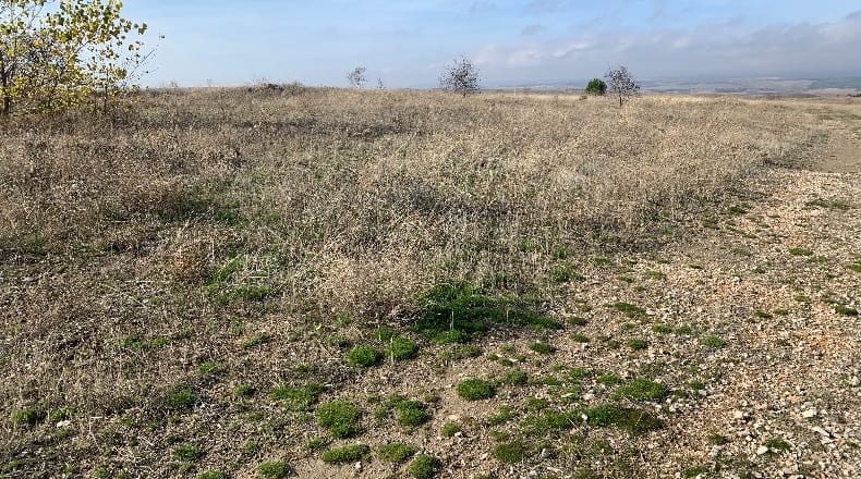 Comunidad de Madrid - Fuentidueña de Tajo - 2500m2
