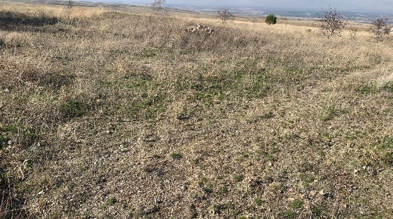 Comunidad de Madrid - Fuentidueña de Tajo - 2500m2