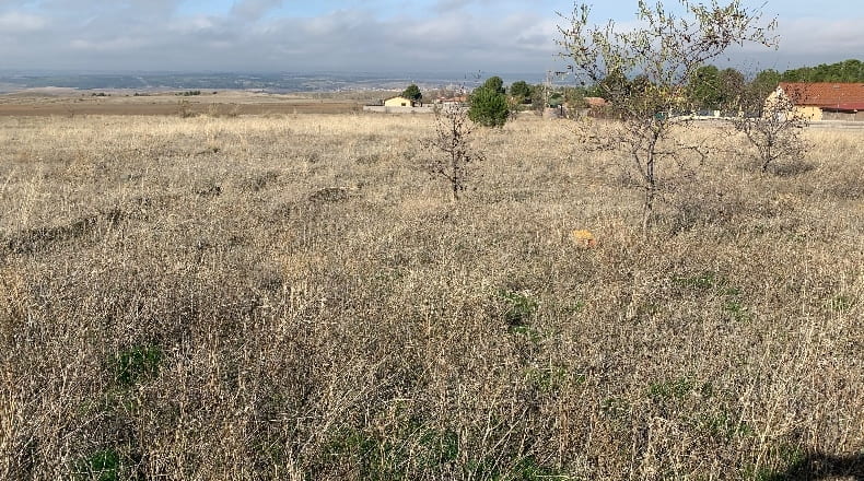 Comunidad de Madrid - Fuentidueña de Tajo - 2500m2