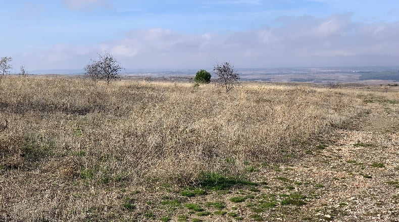 Comunidad de Madrid - Fuentidueña de Tajo - 2500m2