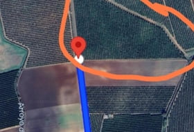 Lora del Río 56000&nbsp;m²
