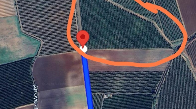 Sevilla - Lora del Río - 56000m2