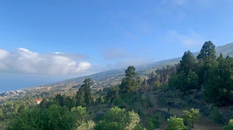 Santa Cruz de Tenerife - Tijarafe - 5000m2