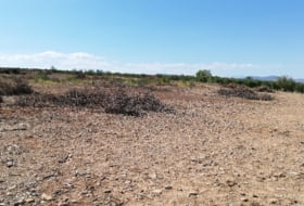 La Almunia de Doña Godina 16495&nbsp;m² 