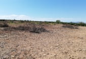 Non-developable land for sale on Carretera de Alpartir, La Almunia de Doña Godina, ref: TR101126 photo