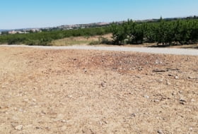 La Almunia de Doña Godina 16495&nbsp;m² 