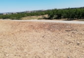 Non-developable land for sale on Carretera de Alpartir, La Almunia de Doña Godina, ref: TR101126 photo