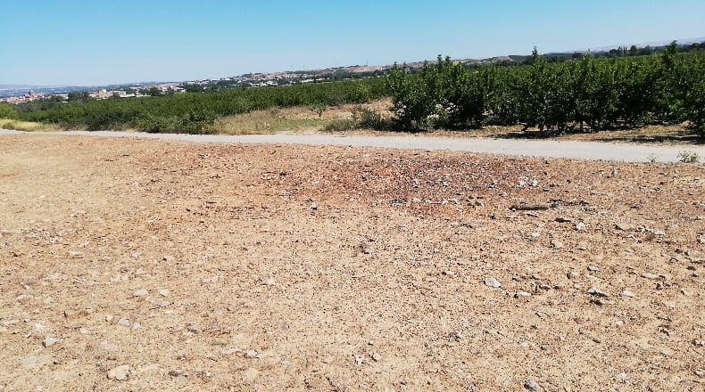 Zaragoza - La Almunia de Doña Godina - 16495m2