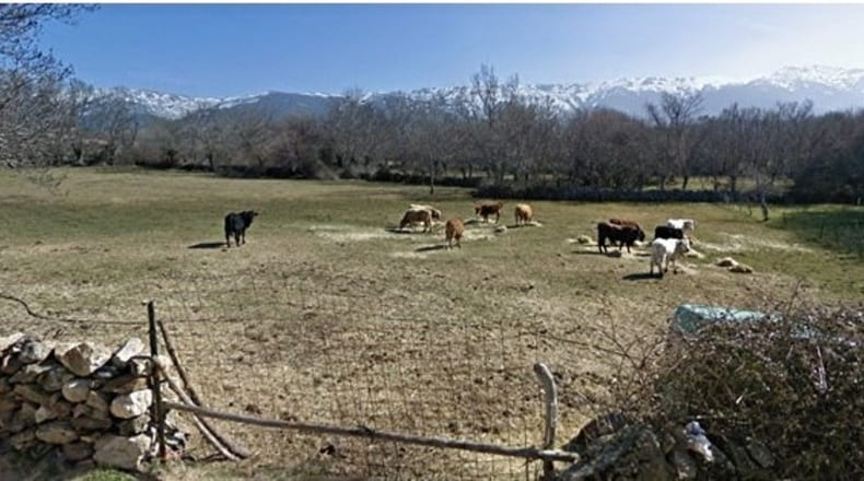 Segovia - Martincano - 7343m2
