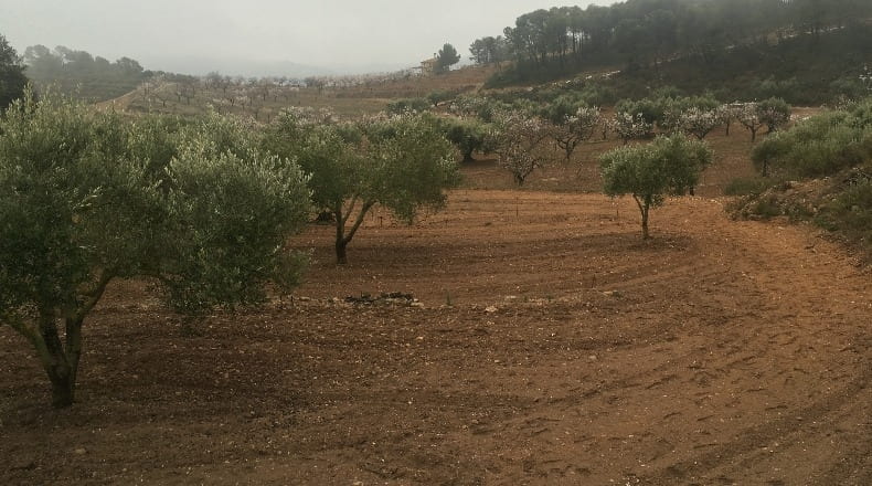 Tarragona - Ascó - 2553m2