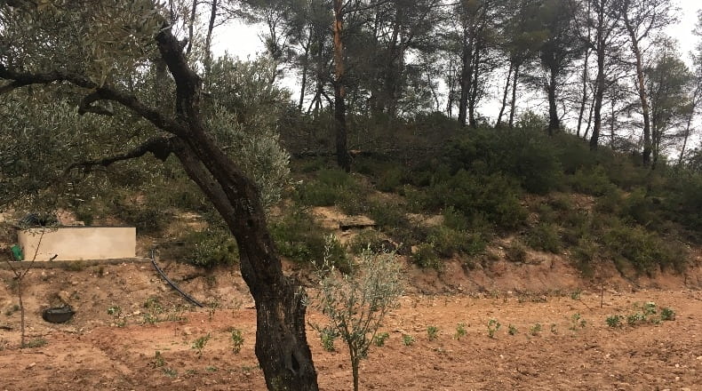 Tarragona - Ascó - 2553m2