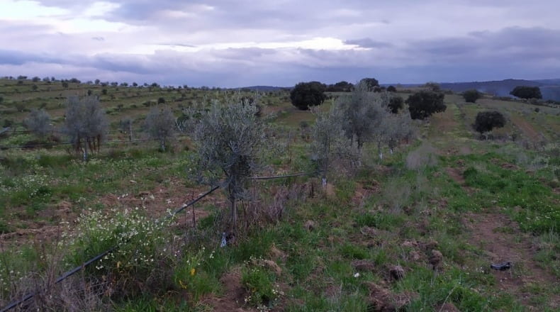 Salamanca - Hinojosa de Duero - 9977m2