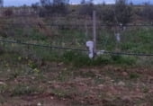 Земля на продажу у города Hinojosa de Duero Фото