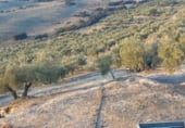 Land suitable for development for sale on carretera del pantano de los bermejales, Alhama de Granada, ref: TR102493 photo