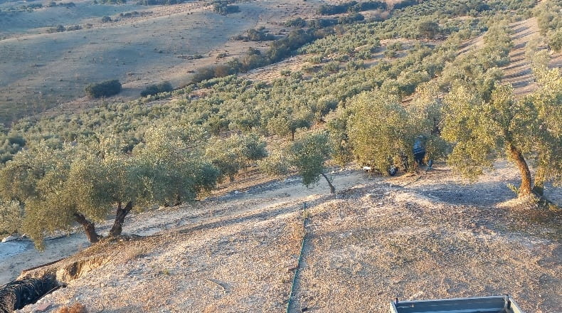 Granada - Alhama de Granada - 31900m2