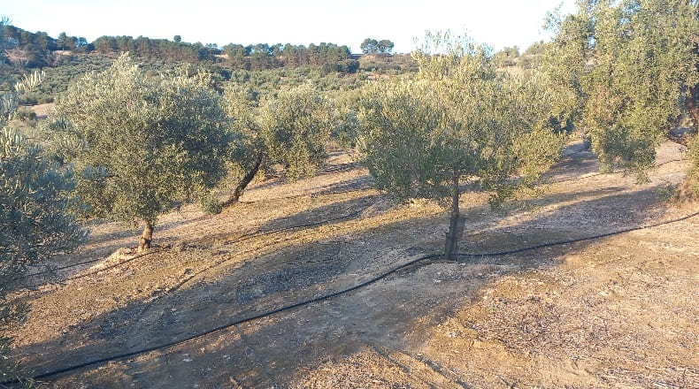 Granada - Alhama de Granada - 31900m2