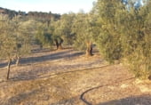 Land suitable for development for sale on carretera del pantano de los bermejales, Alhama de Granada, ref: TR102493 photo
