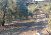 Land suitable for development for sale on carretera del pantano de los bermejales, Alhama de Granada, ref: TR102493 photo