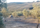 Land suitable for development for sale on carretera del pantano de los bermejales, Alhama de Granada, ref: TR102493 photo