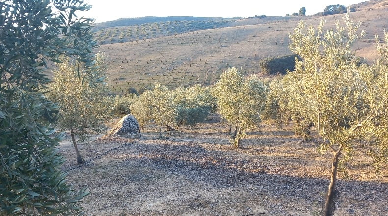 Granada - Alhama de Granada - 31900m2