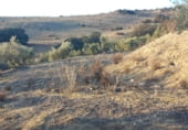 Land suitable for development for sale on carretera del pantano de los bermejales, Alhama de Granada, ref: TR102493 photo