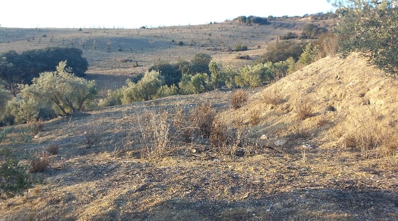 Granada - Alhama de Granada - 31900m2