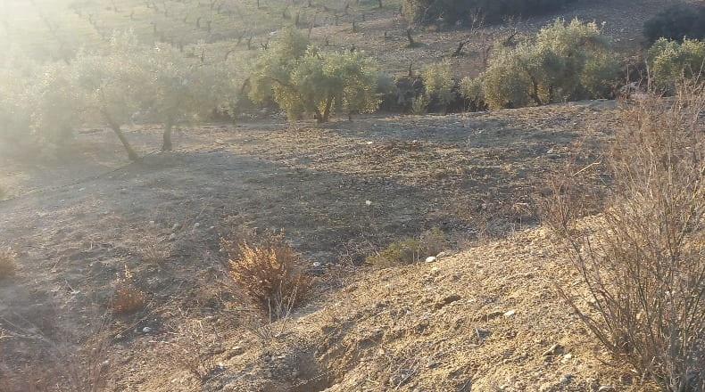 Granada - Alhama de Granada - 31900m2