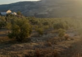 Land suitable for development for sale on carretera del pantano de los bermejales, Alhama de Granada, ref: TR102493 photo