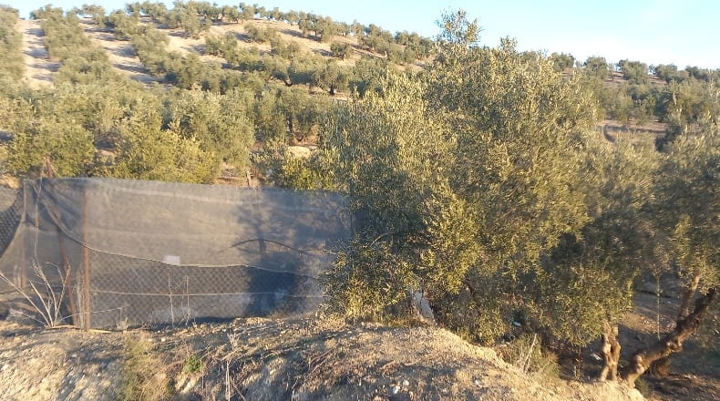 Granada - Alhama de Granada - 31900m2