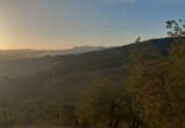 Land suitable for development for sale on carretera del pantano de los bermejales, Alhama de Granada, ref: TR102493 photo