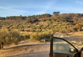 Land suitable for development for sale on carretera del pantano de los bermejales, Alhama de Granada, ref: TR102493 photo