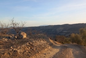 Foto 16