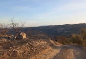 Land suitable for development for sale on carretera del pantano de los bermejales, Alhama de Granada, ref: TR102493 photo