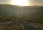 Land suitable for development for sale on carretera del pantano de los bermejales, Alhama de Granada, ref: TR102493 photo