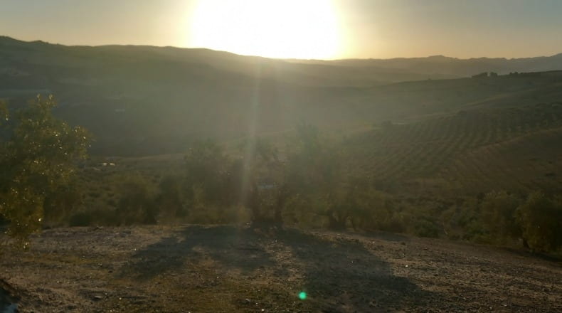 Granada - Alhama de Granada - 31900m2