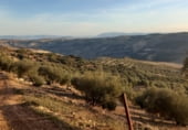 Land suitable for development for sale on carretera del pantano de los bermejales, Alhama de Granada, ref: TR102493 photo