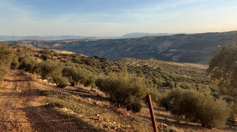 Granada - Alhama de Granada - 31900m2