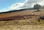 Terreny no urbanitzable en venda a la Veguillas, Hoyales de Roa, ref.: TR102498 foto