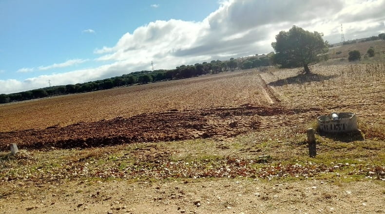 Burgos - Hoyales de Roa - 4050m2