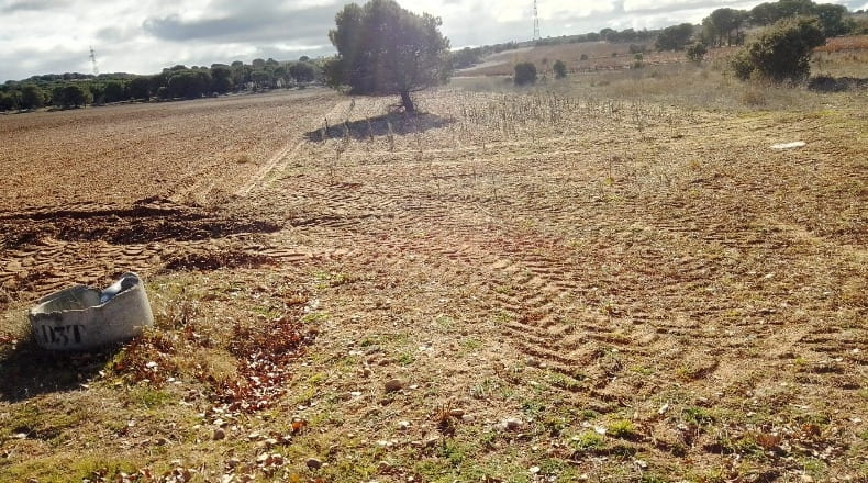 Burgos - Hoyales de Roa - 4050m2