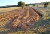 Terreny no urbanitzable en venda a la Veguillas, Hoyales de Roa, ref.: TR102498 foto