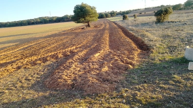 Burgos - Hoyales de Roa - 4050m2