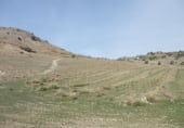 Земельный участок на продажу в городе Алаурин-де-ла-Торре Фото