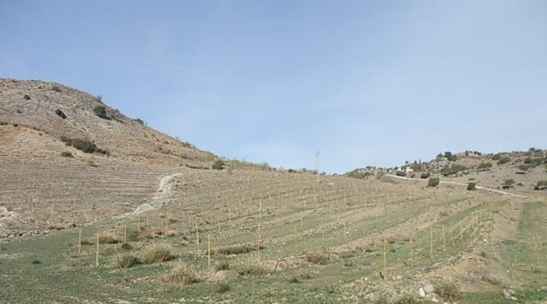 Málaga - Alhaurín de la Torre - 504500m2