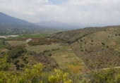 Земельный участок на продажу в городе Алаурин-де-ла-Торре Фото